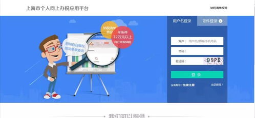 自然人税收管理系统客户端生产经营申报操作与信息系统运行维护服务指南